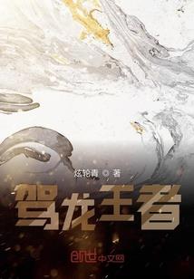 网游之魔法盗贼