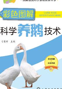 穿越之侯门嫡妃