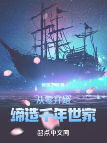 我那不正常的圣骑士生涯