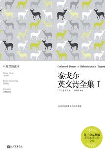 雾夜独行