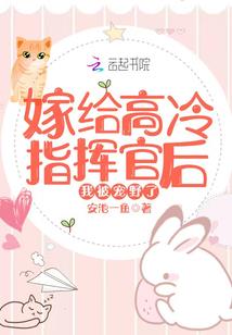 豪城的背后