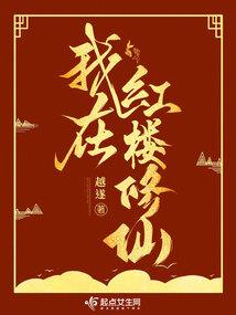 出租猫