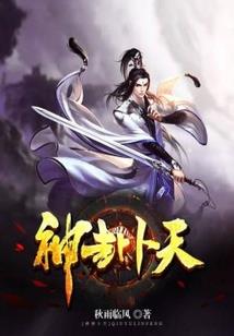 总裁大人是疯子吗
