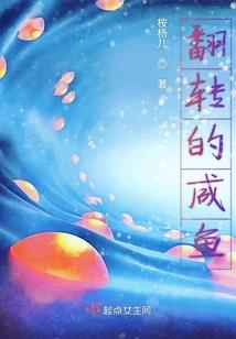 穿越之随安逐流