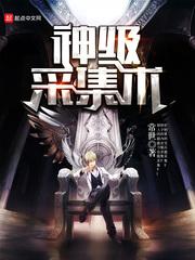 义枫