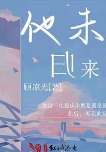 倾世傻妃之邪王轻点爱