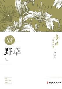 网游之日陨
