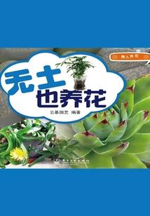 重生之我主修罗
