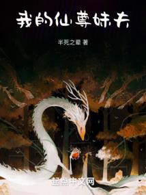 网游之盗贼王