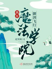王爷的霸气小狂妃