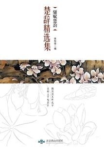 云肆飞