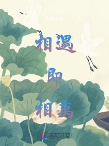 非法进化