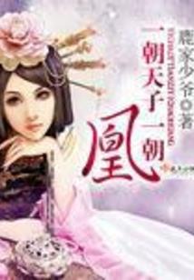 妖女住手