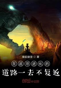 岔道口的迷茫与抉择