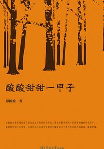 命运停驻之夜