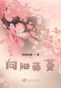 红尘无忧