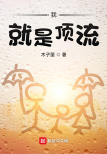 孤城使臣