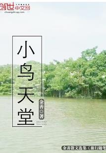 遇见即预见