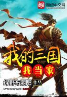 穿越三国之大汉共和国