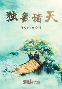 宠物小精灵之超越天王之路