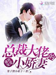 明枪录