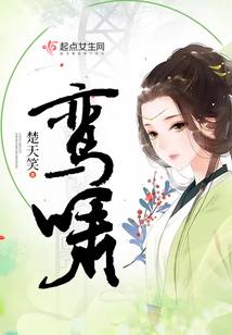 大明：第一都御史