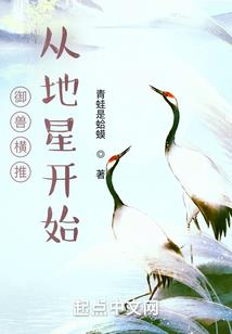 战火之乱世