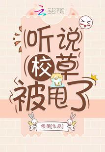 美女的奇遇