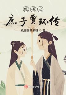 彝汉藏的由来