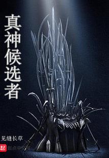 原神：休闲流旅行者