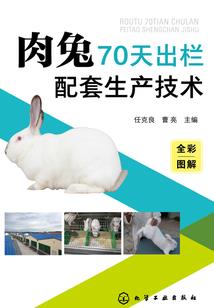 冥王爱妻