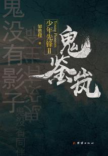 黑白的残翼