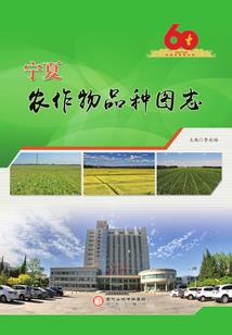 太平情缘录第一部风云初起