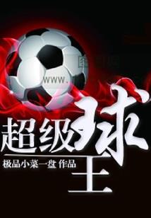 海贼王之四海传奇