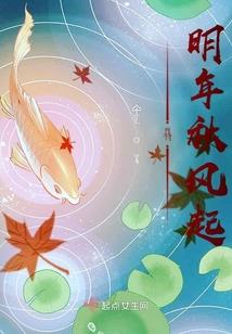 双胞胎的全才教师