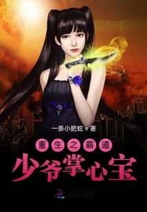穿越之赘婿崛起
