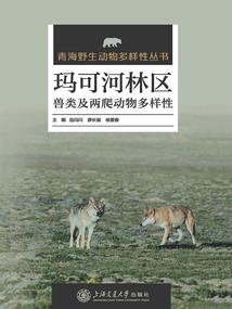 三国之大海盗