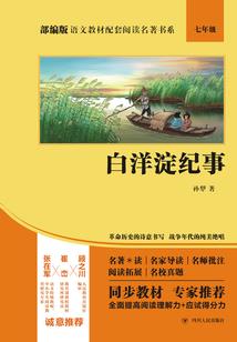 拐个王爷去探案