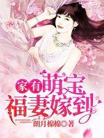 属于月亮的小太阳