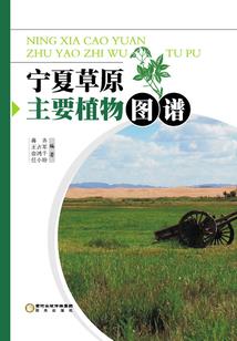 妻子的幕后秘密