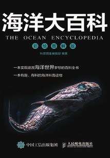 星星最亮的那些岁月