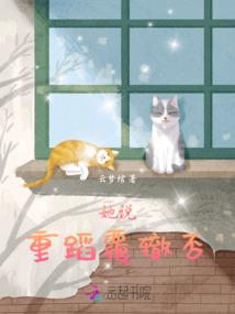 天才黑客闯异界