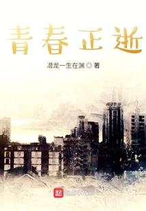 带着舰娘闯世界