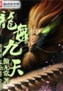 风之殇之盖天神龙