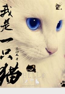 璀璨的青春年华