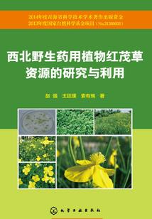 向北的故事
