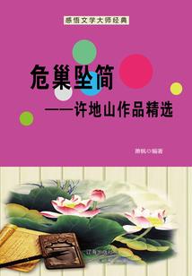 飞逝的三年