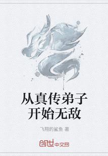 青春传记