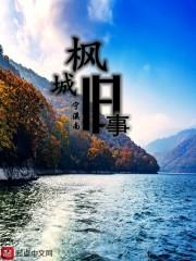 神奇宝贝之铠甲英雄