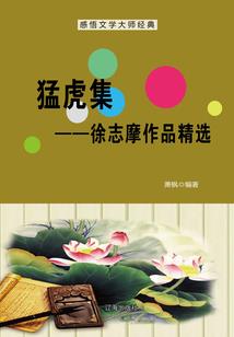 踏一路落樱缤纷